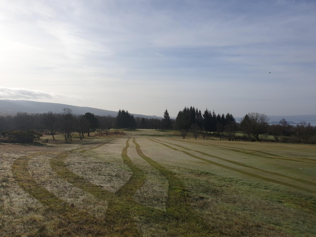 A field of grass
Description automatically generated